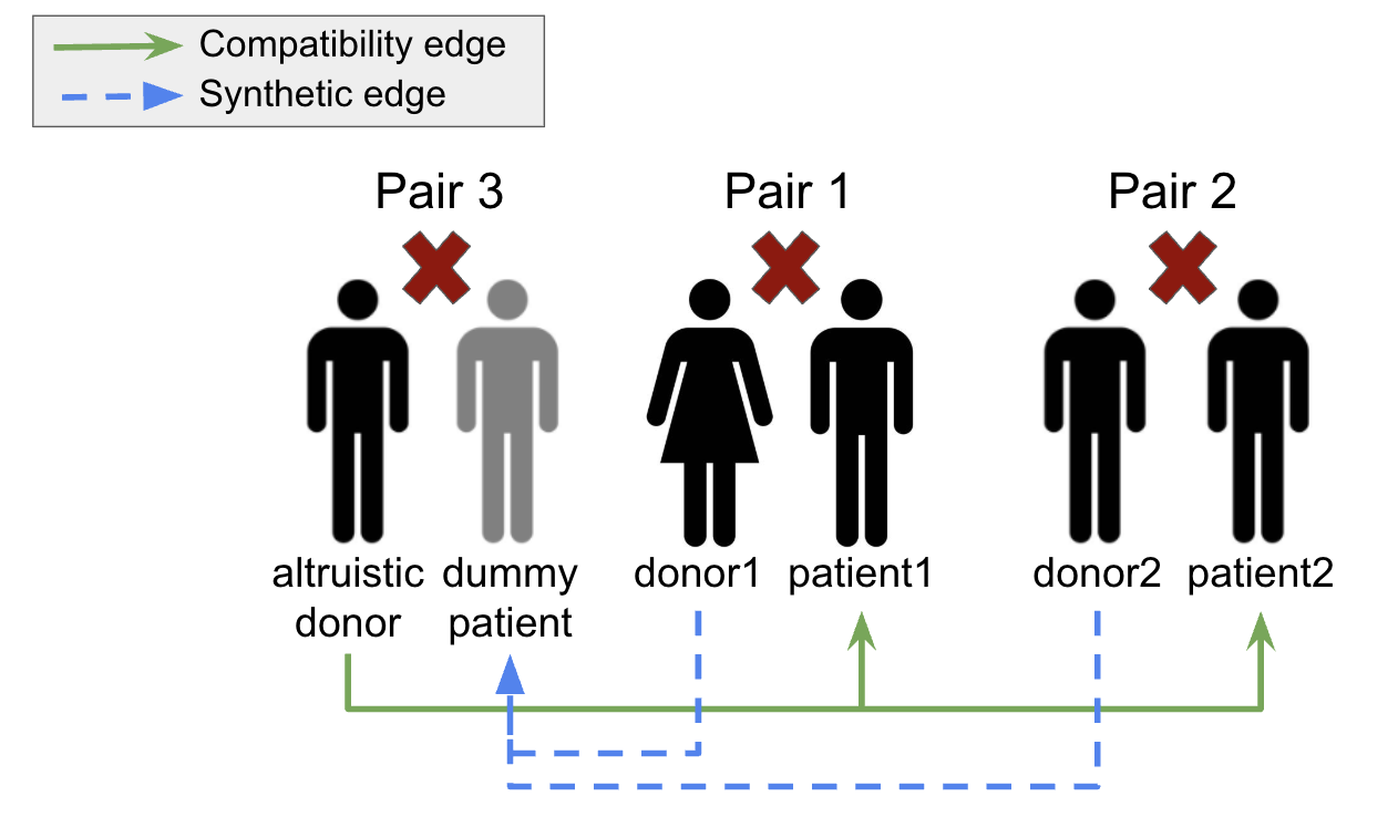 Dummy Patient Modeling Diagram